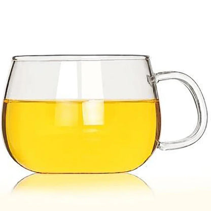 🍵 Premium Borosilicate Glass Tea Mug with Strainer and Lid